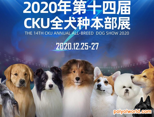 精准塑造品质宠物盛会！第六届华南宠物展即将开幕
