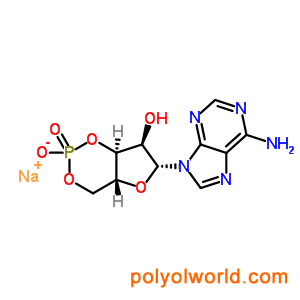 37839-81-9 Adenosine-3',5'-环磷酸酯 钠盐