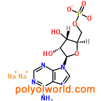 4578-31-8;149022-20-8 腺苷 5'-单磷酸钠*来自 酵母”o
     
    </td>
   </tr>
  
  
    
  
    

    
   <tr bgcolor=