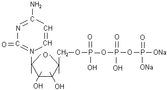 18423-42-2;36051-68-0 5'-三磷酸胞苷二钠盐 