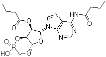 362-74-3 bucladesine